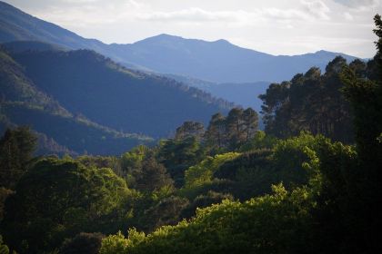 Bivouac nature au sud du Parc national des Cévennes !