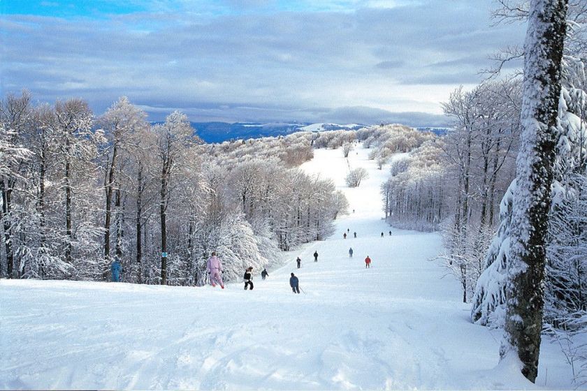 Un hiver apaisant au coeur du Massif des Vosges