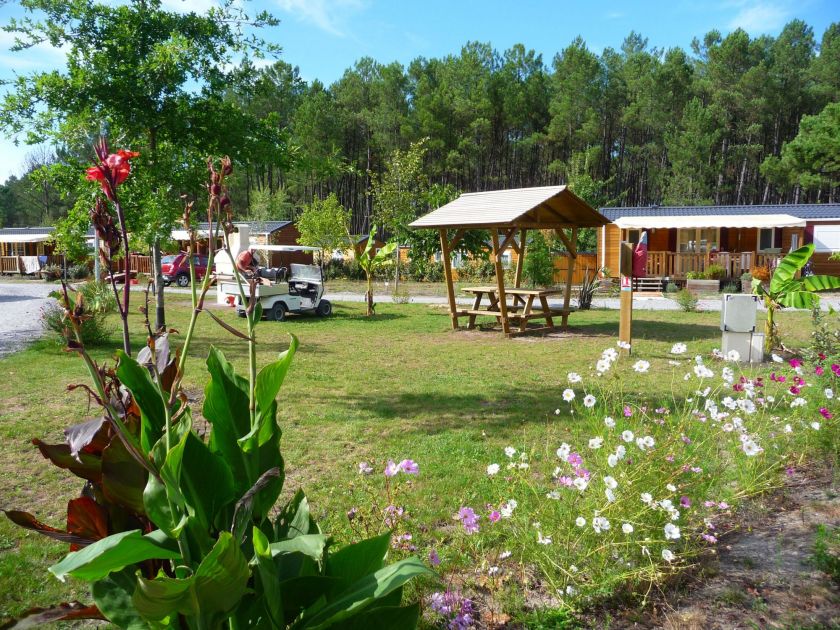 Camping Landes Océanes****