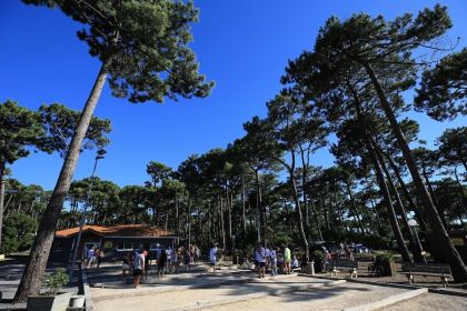 Terrain de pétanque