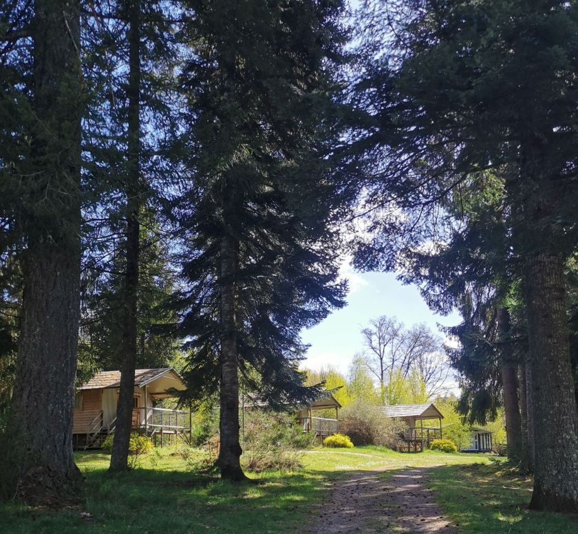 Les Sapins de Corrèze