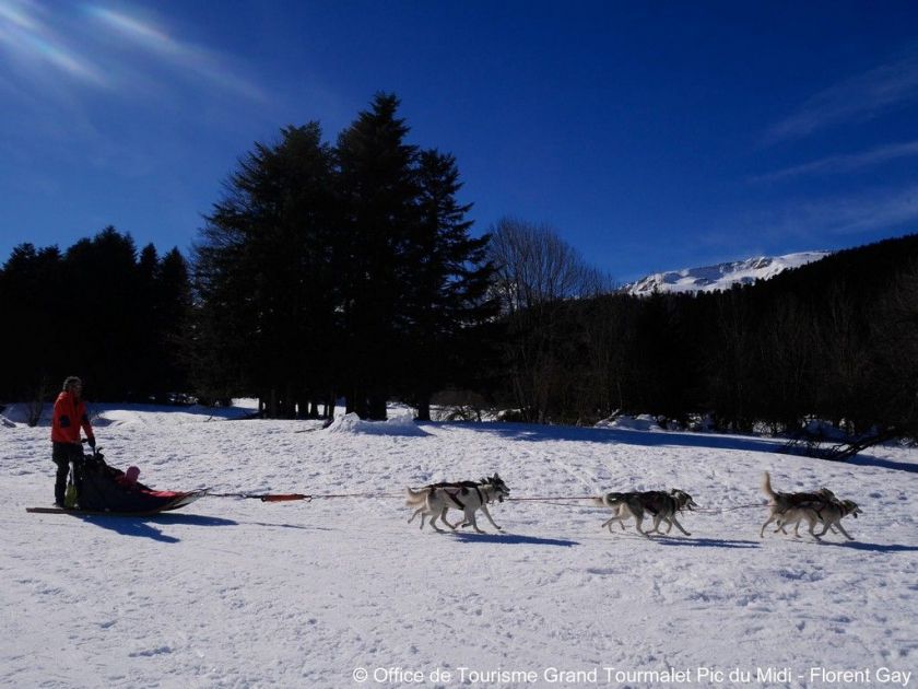 Activités chiens de traineau dans la neige !