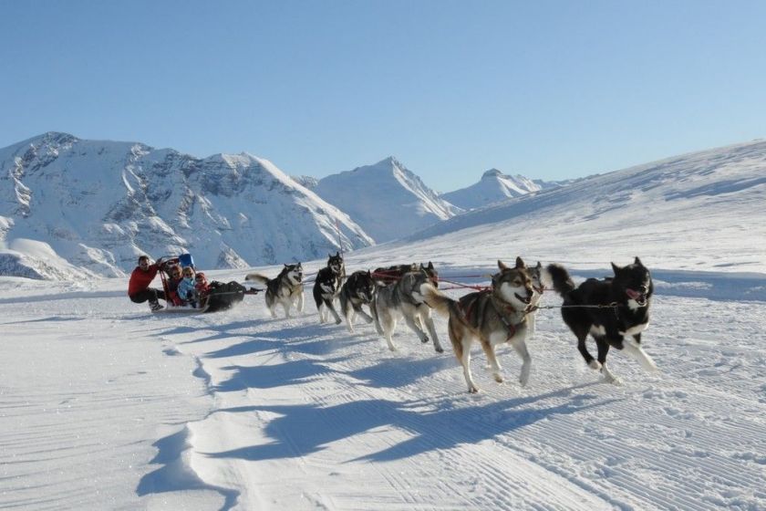 Activité d'hiver inédite pour toute la famille : la balade en chiens de traineaux !