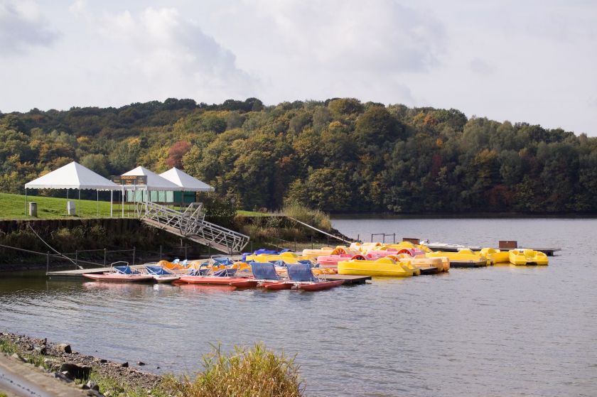 Les canoes et autres pédalos