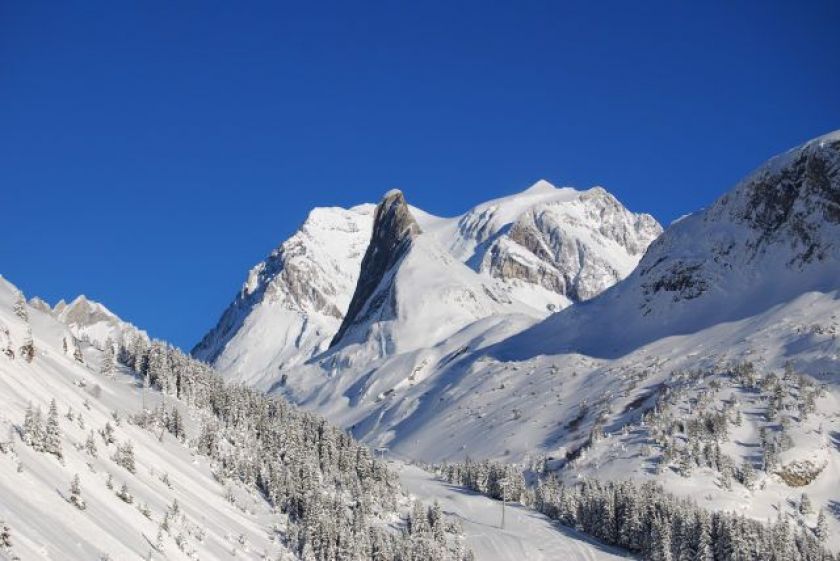 Les Jardins de la Vanoise - Pralognan