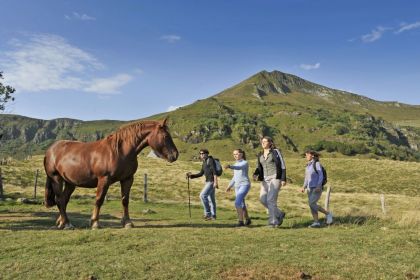 Ferme équestre et ballade à proximité