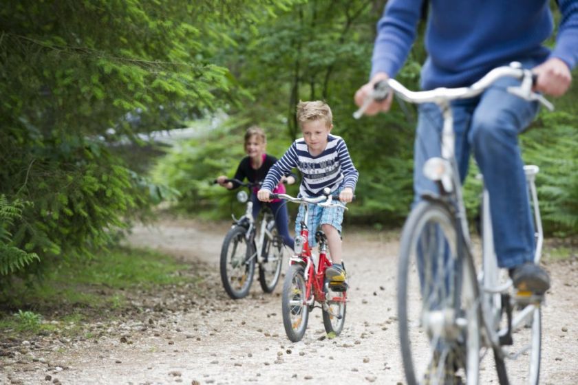 Activités et animations pour tous les âges