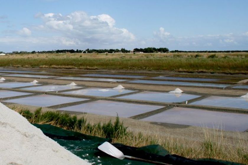 Les incontournables salines